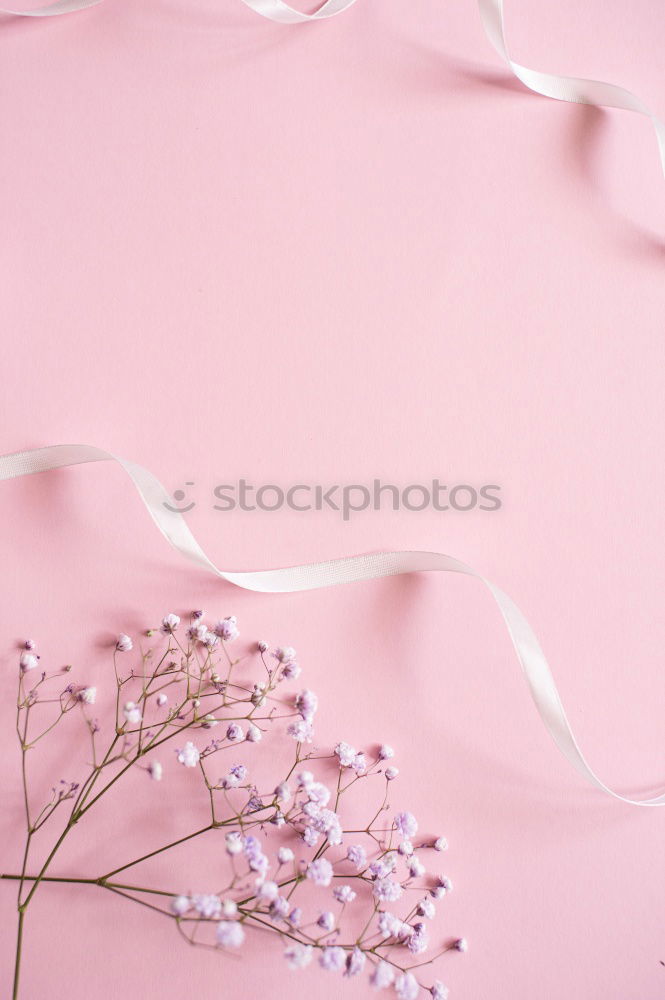 Similar – Image, Stock Photo Open envelope envelope with pastel flowers and petals