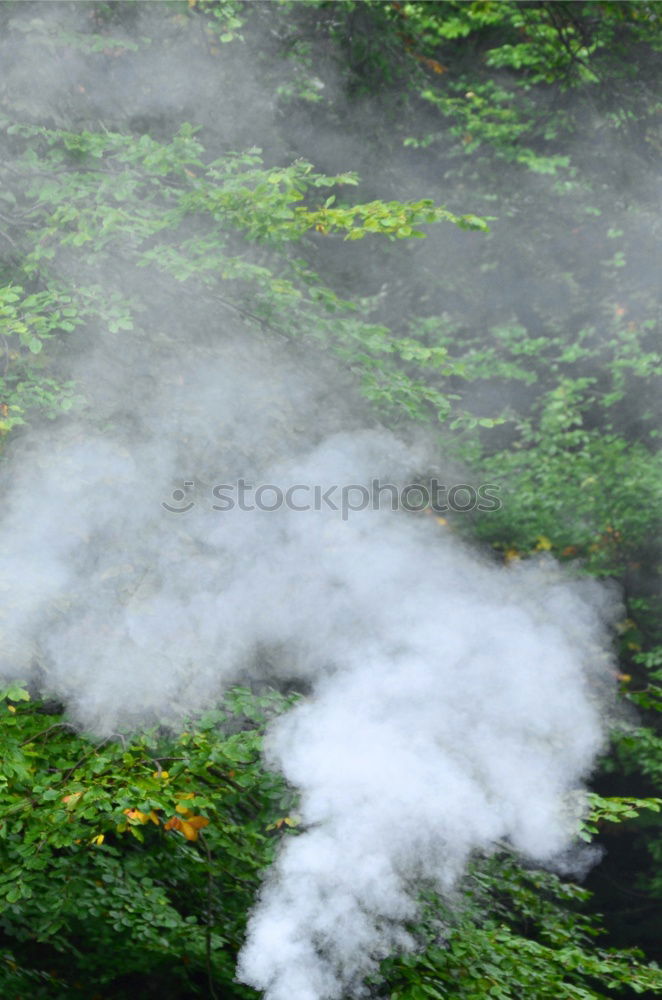 Similar – Image, Stock Photo Preparation of meal on a fire