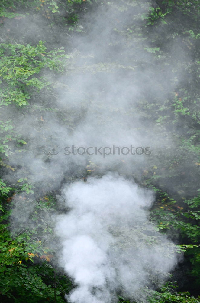 Similar – Image, Stock Photo Preparation of meal on a fire