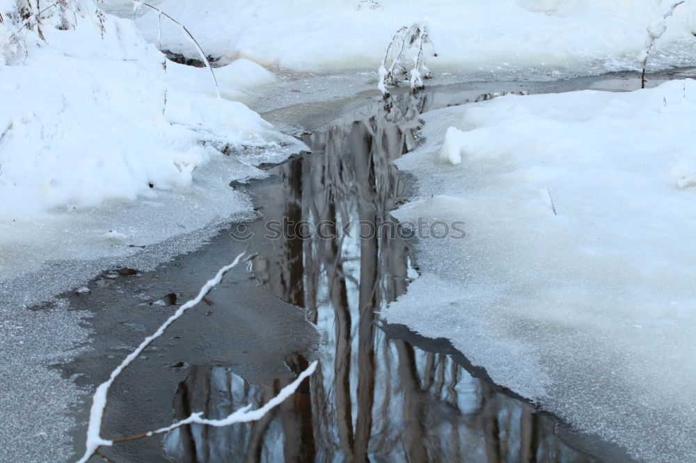 Similar – Ötzi Eis Gesicht