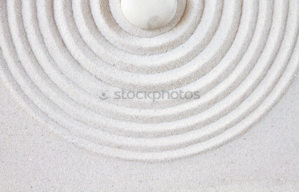 Similar – Image, Stock Photo Jammy Garlic on Grey Art