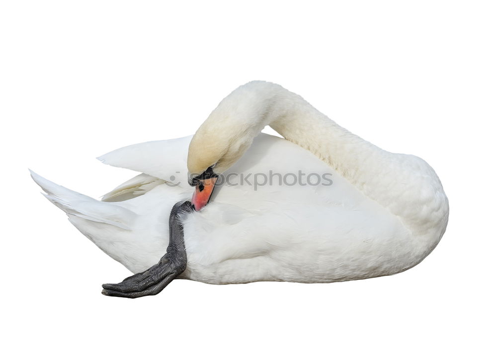 Similar – Image, Stock Photo sloshed Swimming pool