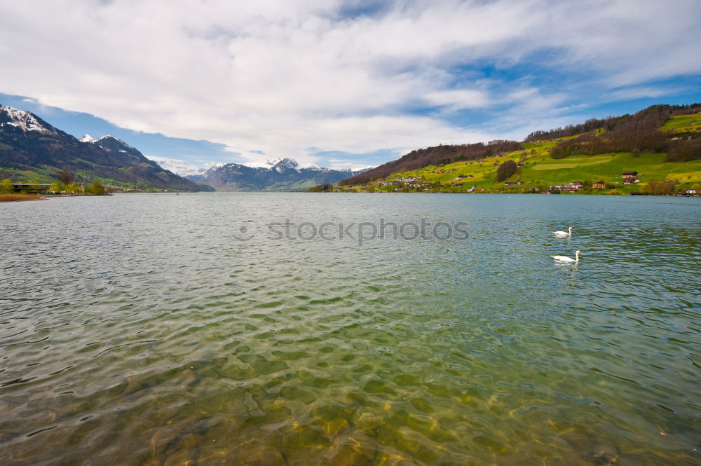 Similar – Image, Stock Photo Bergen