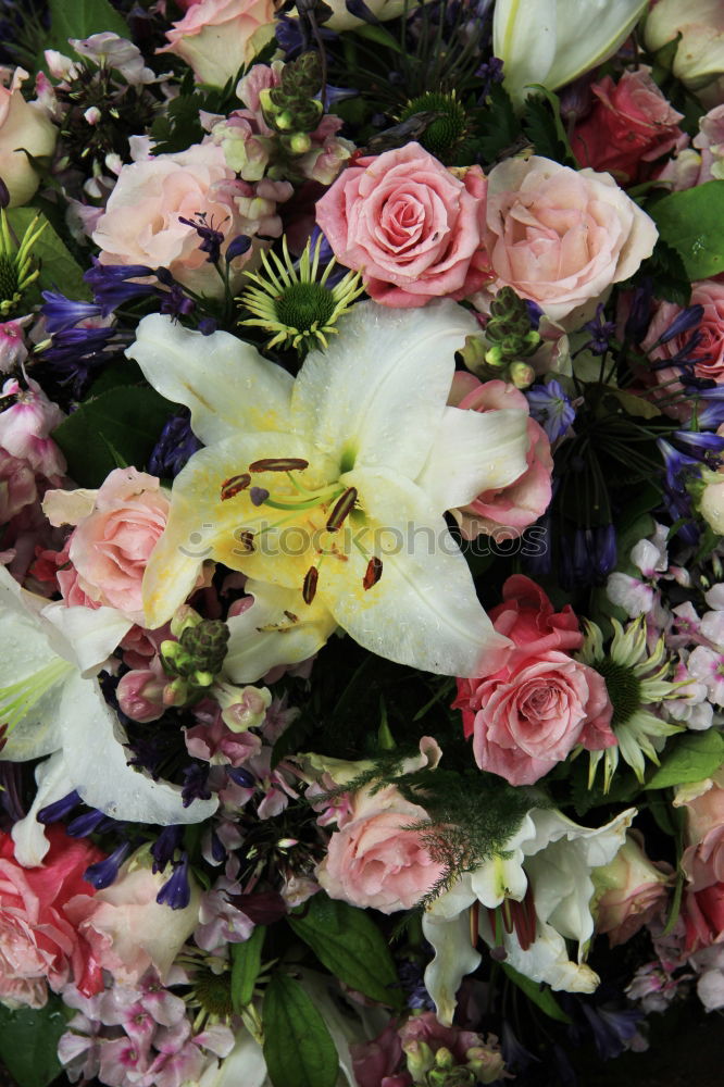 Similar – Image, Stock Photo welcome wreath Wreath