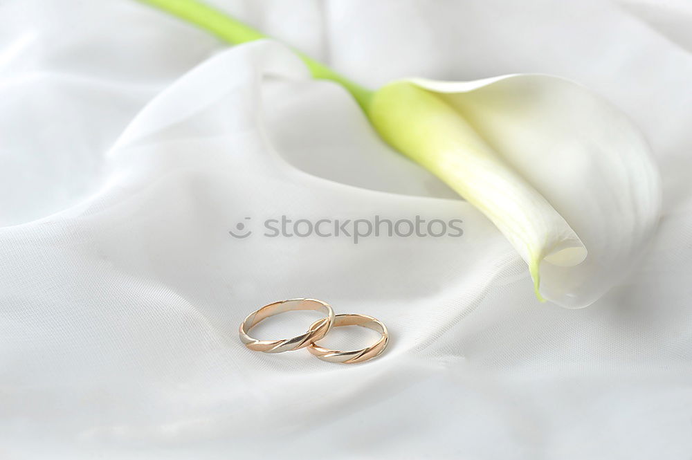 Similar – Foto Bild for ever Ehering Schmuck