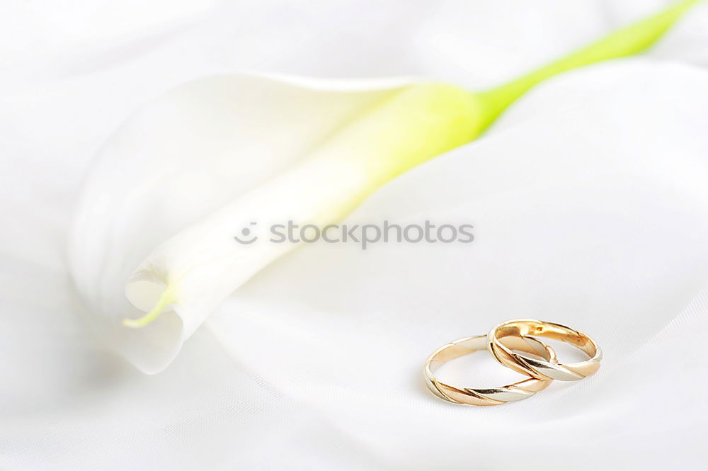 Foto Bild for ever Ehering Schmuck