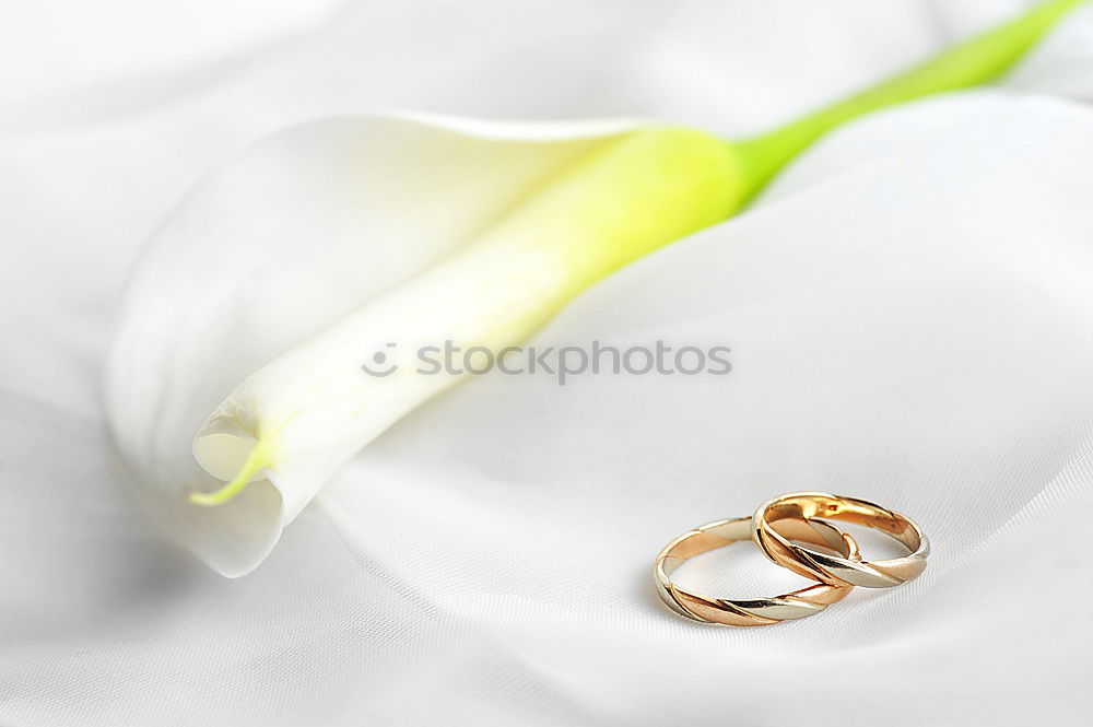 Similar – Foto Bild for ever Ehering Schmuck