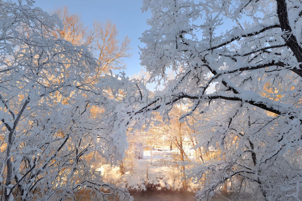 Similar – Foto Bild „Kaltestelle“ Winter kalt