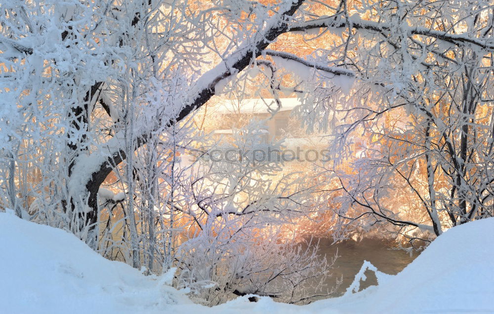 Similar – ice flowers Cold Window