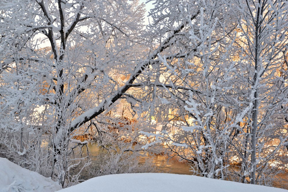 Similar – Foto Bild Ruheplatz Winter Baum