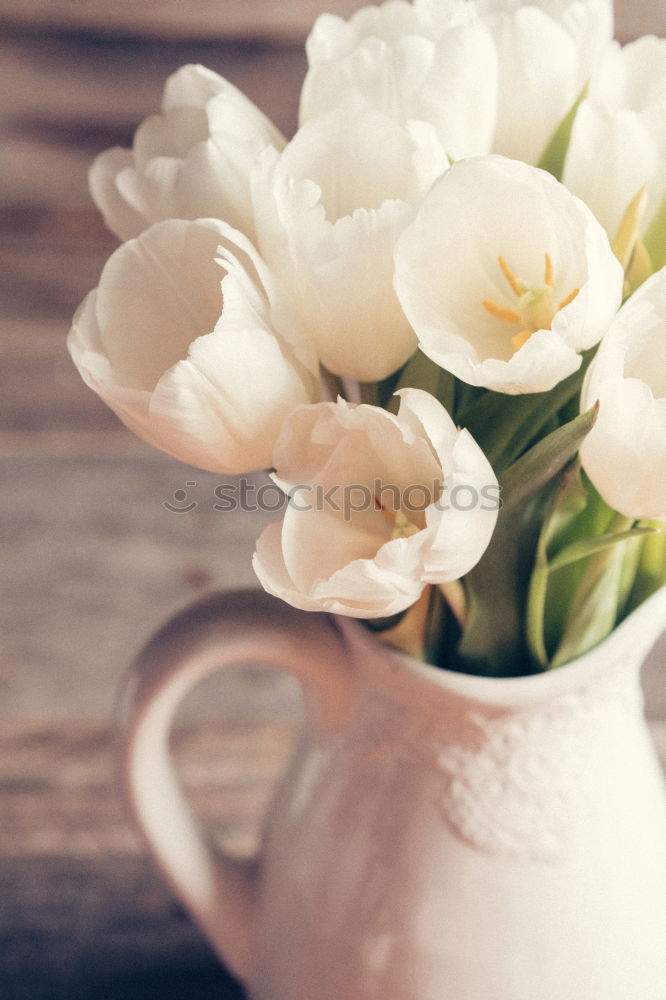 Similar – Image, Stock Photo cup of hot black coffee and a bouquet