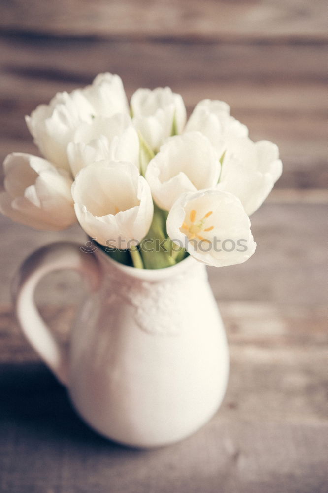 Similar – Image, Stock Photo cup of hot black coffee and a bouquet