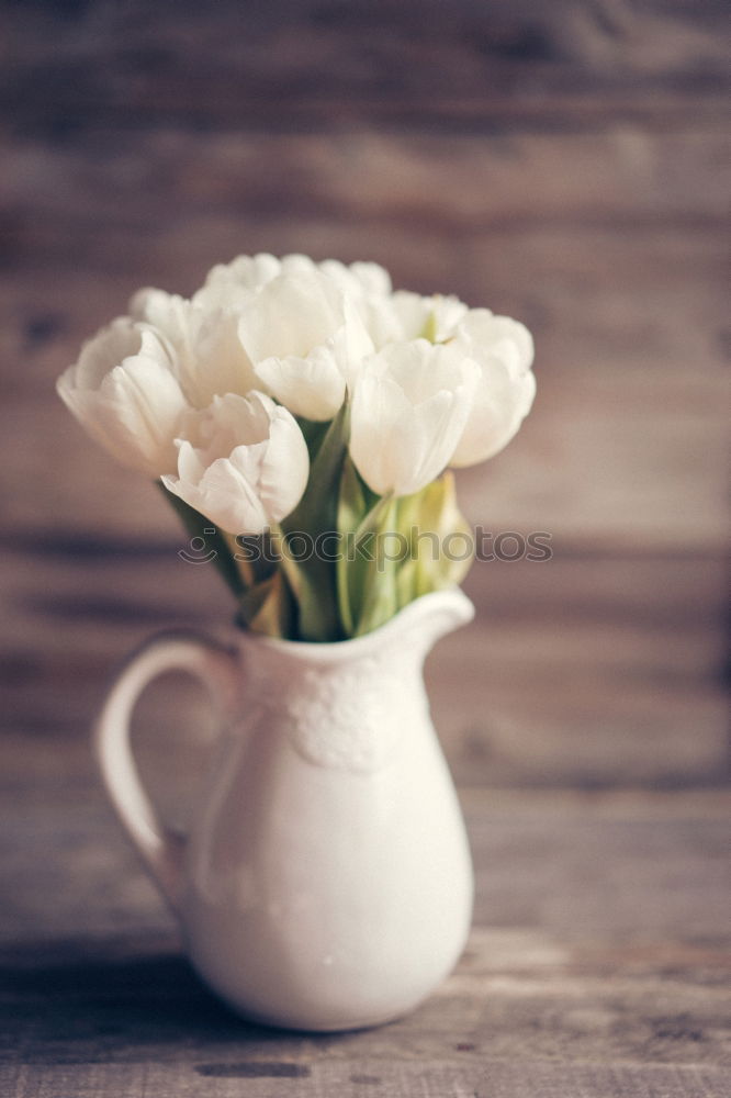 Similar – Image, Stock Photo bouquet of irises and a cup of coffee