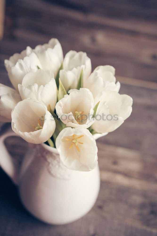 Similar – Image, Stock Photo bouquet of irises and a cup of coffee