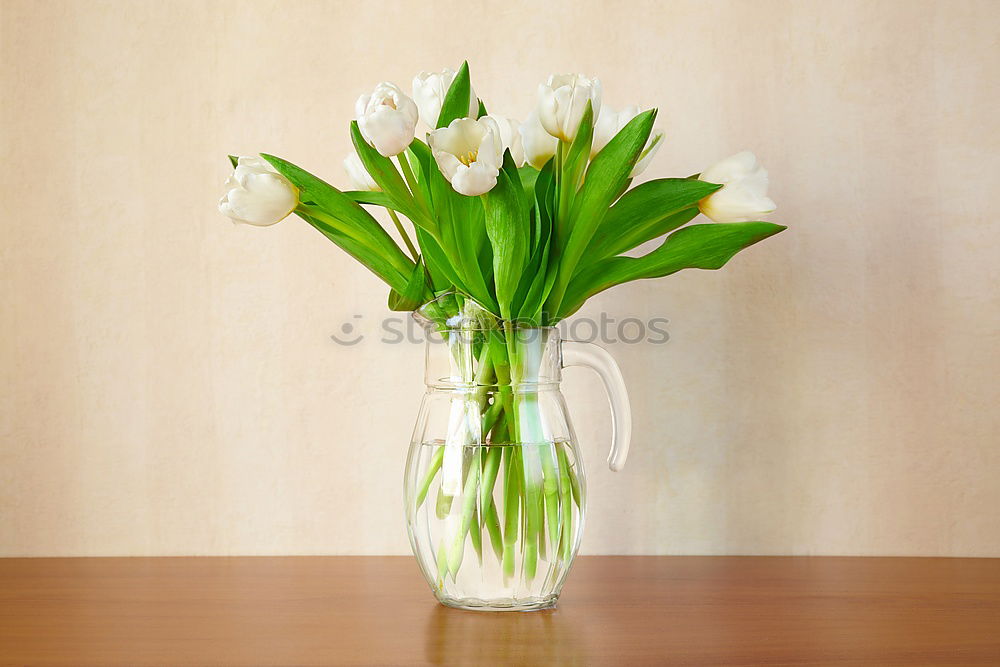 Similar – Image, Stock Photo aalto white Flower Vase