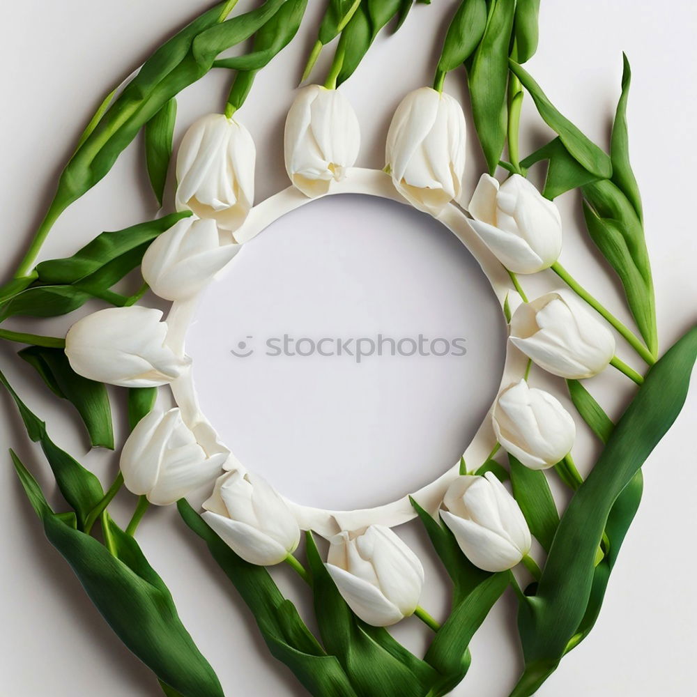 Similar – Image, Stock Photo Spring wreath with tulips