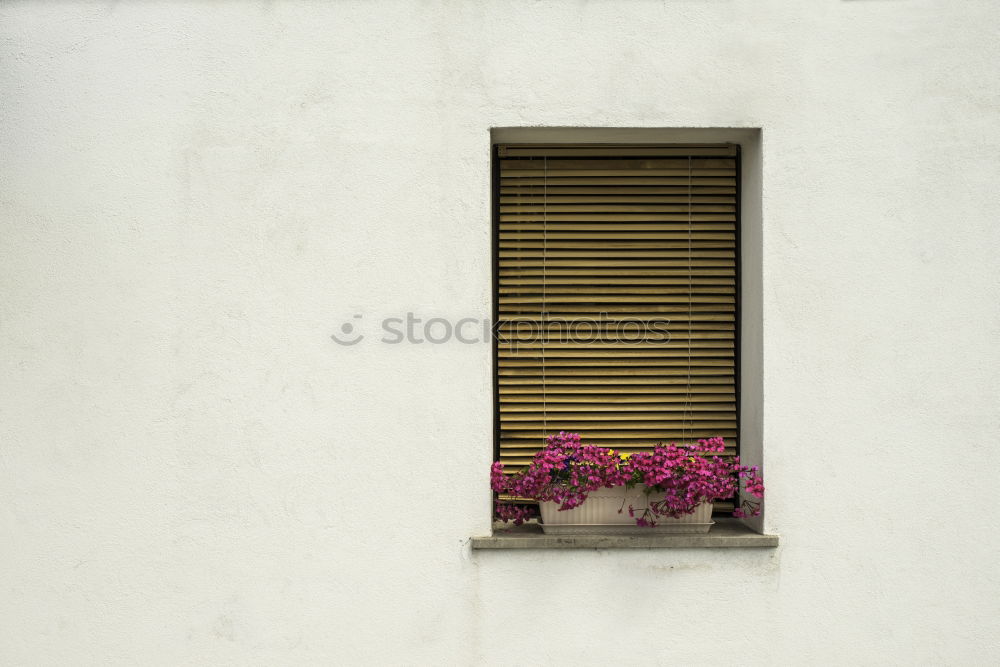 Similar – Image, Stock Photo spring Environment Plant