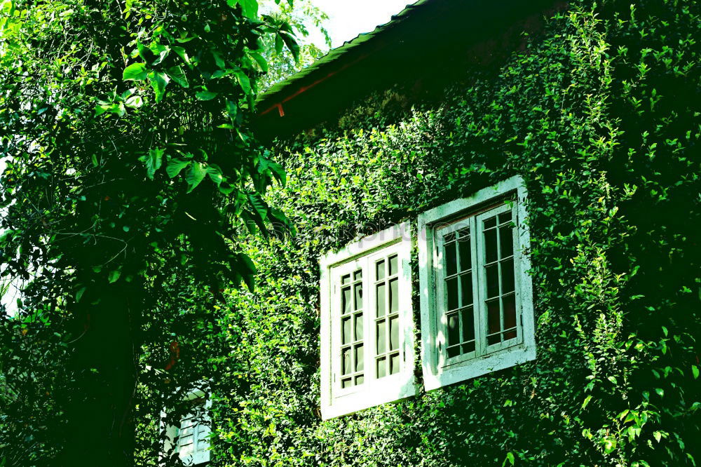 Similar – Beach house on the Danish island Ærø