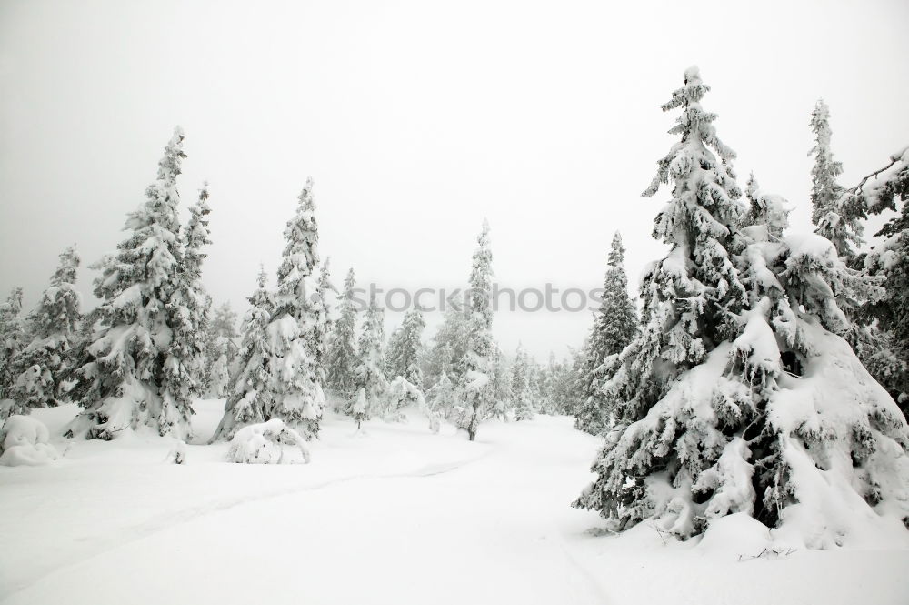 Similar – winter landscape Winter