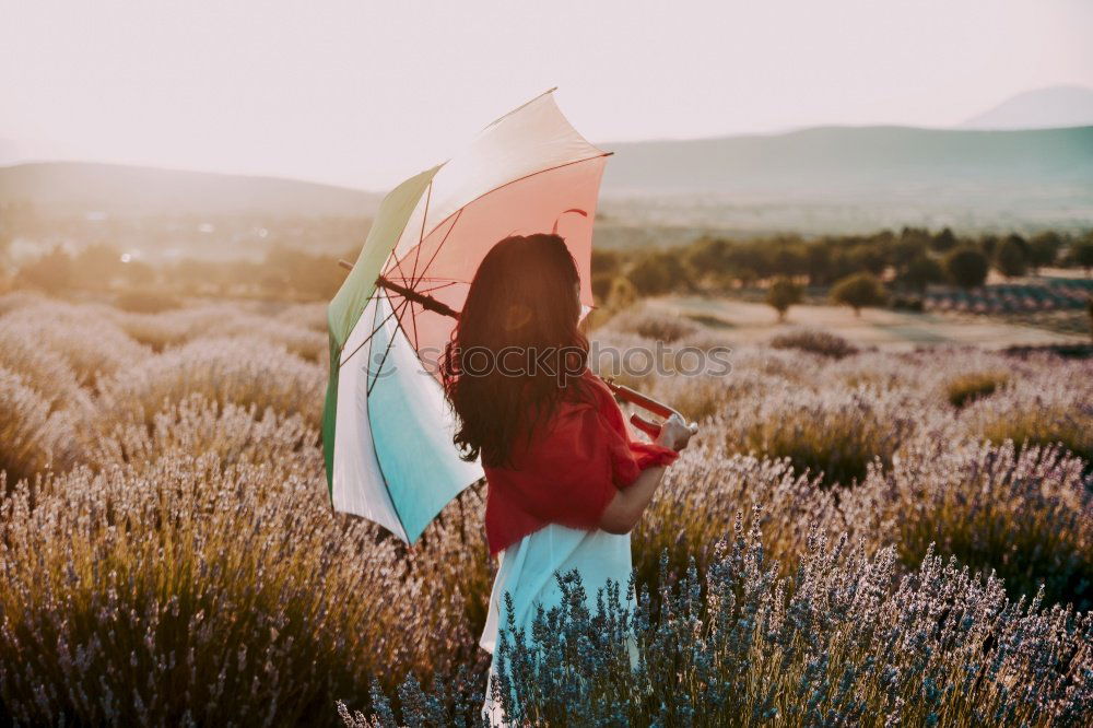 Similar – Cyclist Riding the Bike at Sunset. Sports Concept