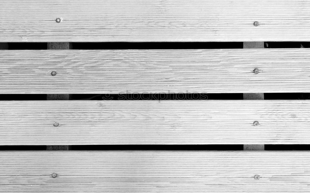Similar – Image, Stock Photo city zebra Art Work of art