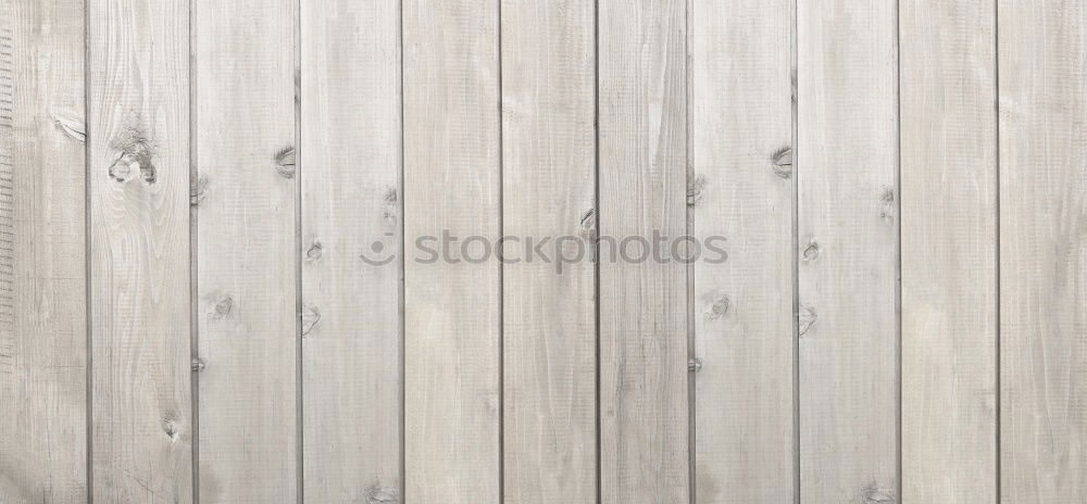 Image, Stock Photo primer Decoration