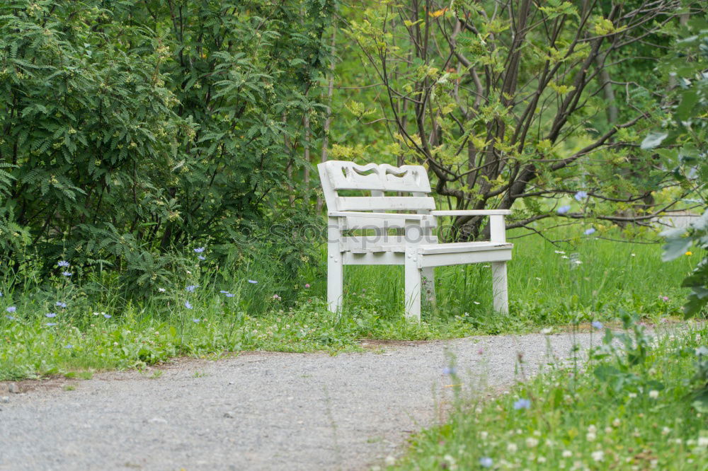 Similar – Attraktive blonde Frau sitzt auf weißer Bank unter einer Eiche an einem Teich