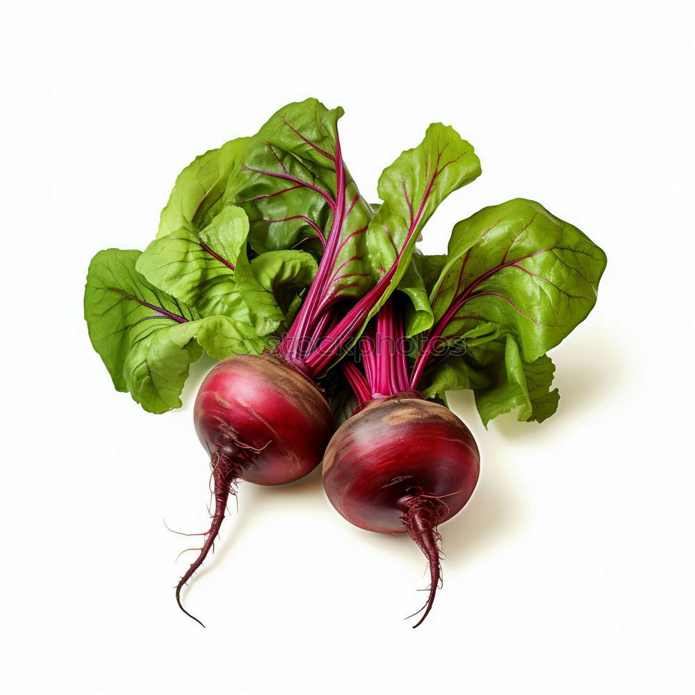 Similar – radish Food Vegetable