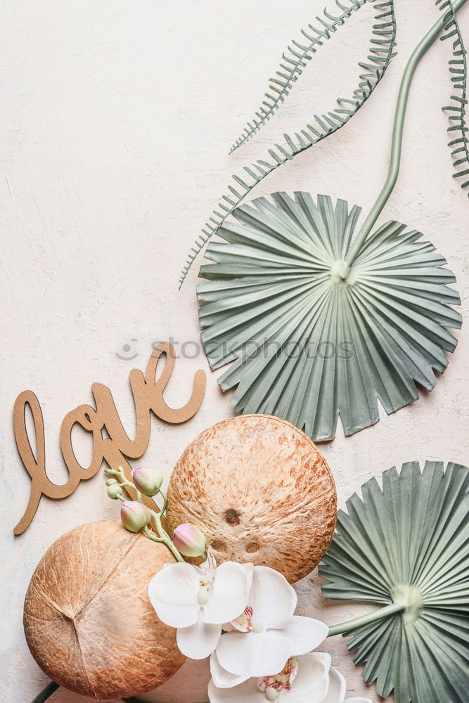 Similar – Image, Stock Photo Sun hat with sunglasses and coconut