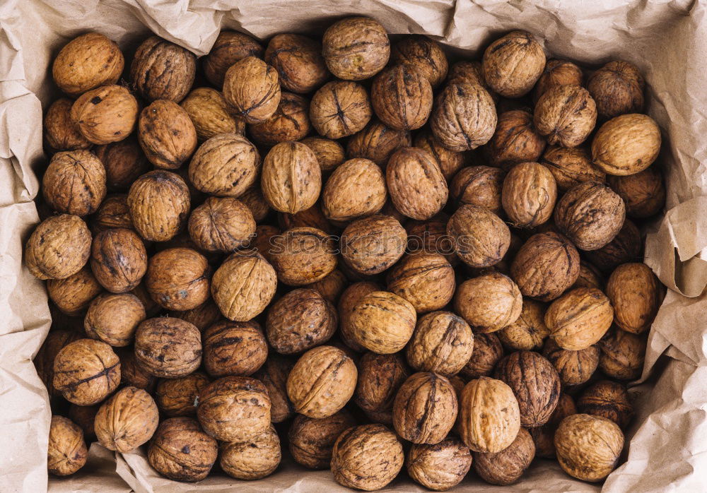 Similar – Mixed nuts in shells. Nut