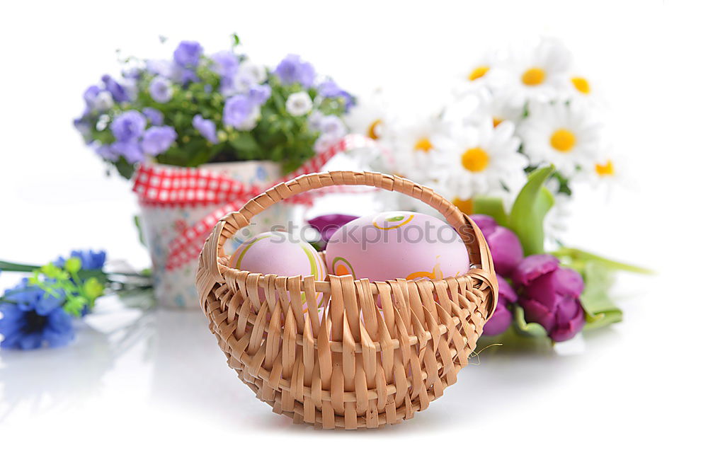 Similar – Image, Stock Photo OSTERkuschelEI