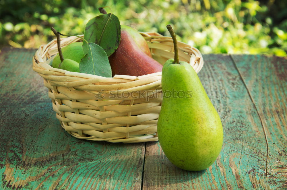 Similar – Image, Stock Photo Preparing ingredients for pickling cucumbers