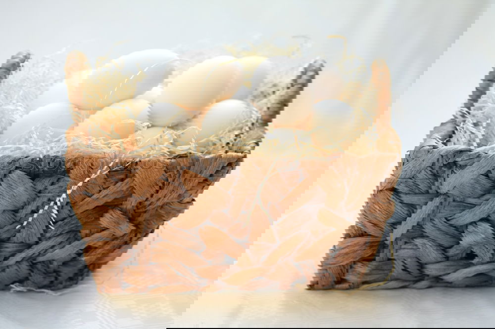 Similar – Image, Stock Photo guinea fowl eggs Food Egg