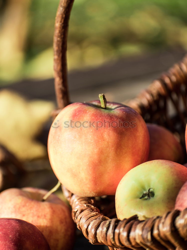 Similar – What grenades? Food Fruit