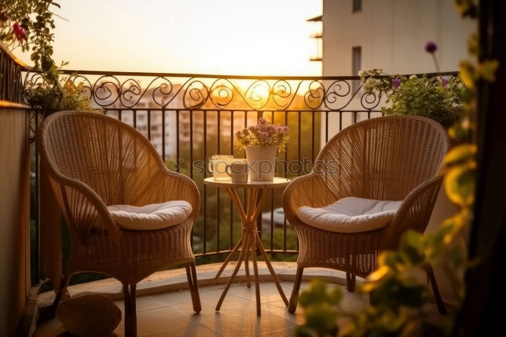 Similar – Foto Bild Ein Platz an der Sonne