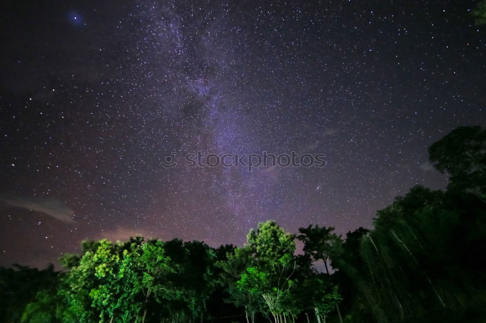 Similar – Image, Stock Photo Twilight in the garden