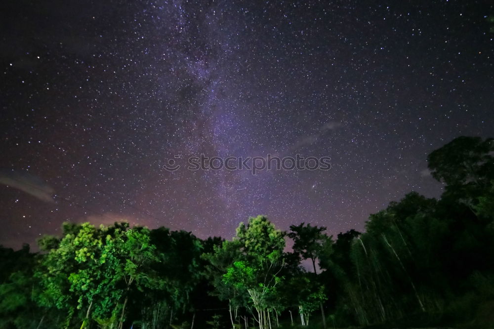 Similar – Image, Stock Photo Twilight in the garden