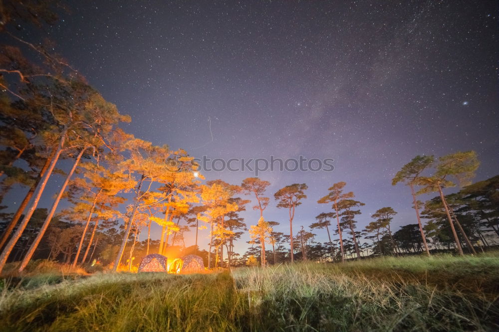 Similar – Image, Stock Photo Twilight in the garden