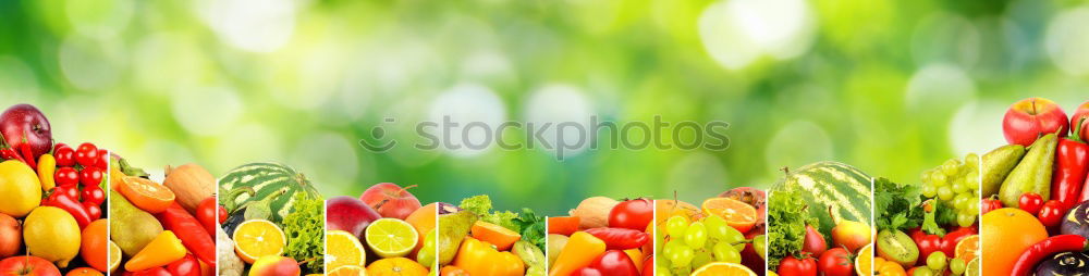 Similar – Image, Stock Photo interior life Nature Plant