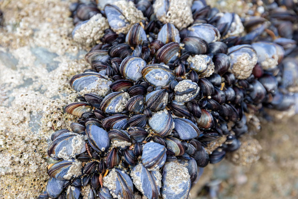 Similar – Image, Stock Photo Group pressure on the stone