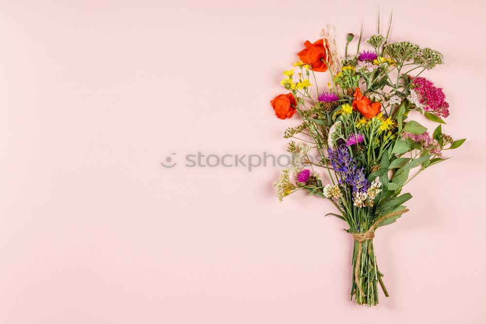 Similar – Foto Bild Junge Frau in einem hellblauen Kleid mit einem Blumenstrauß in der Hand.