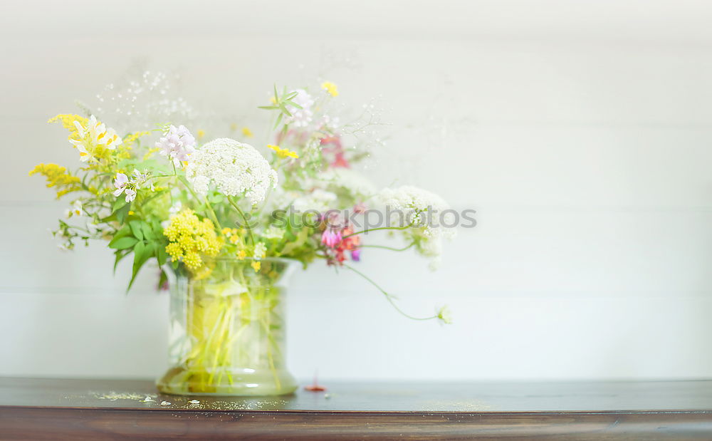 Similar – Image, Stock Photo Watering can with colorful garden flowers on the table