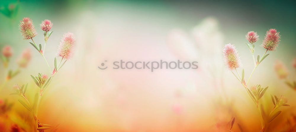 Similar – Image, Stock Photo AT THE TOP OF THE STAIRS.