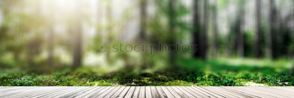 Similar – Image, Stock Photo hansguckindieluft