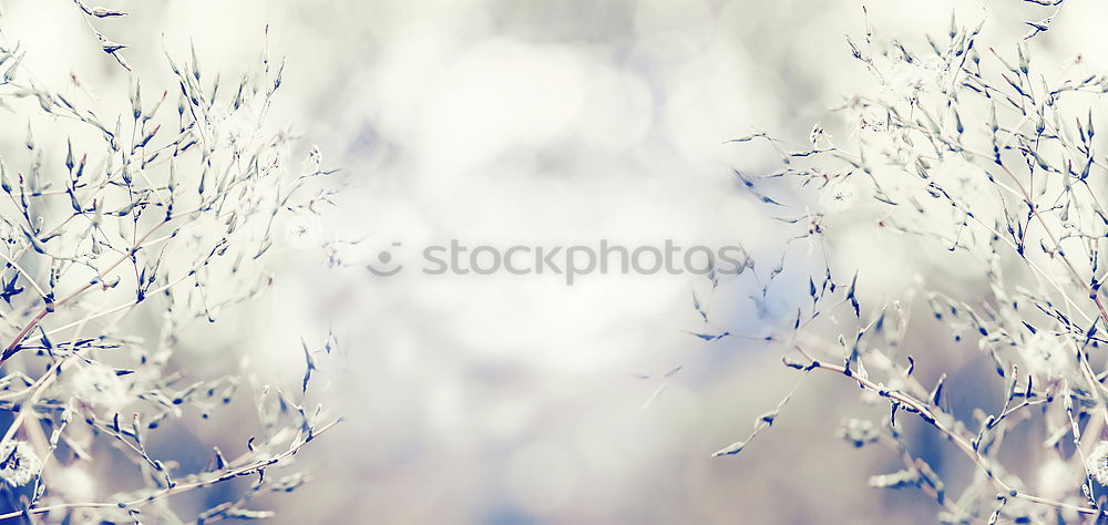 Similar – Image, Stock Photo Still cold Environment