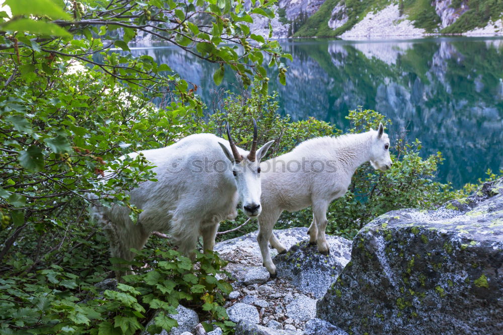 Similar – Image, Stock Photo Meteora in Greece