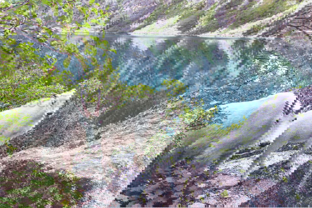 Similar – Foto Bild in sync Natur Landschaft