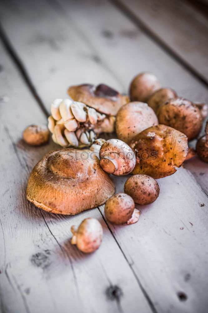 Similar – Potatoes with dirt