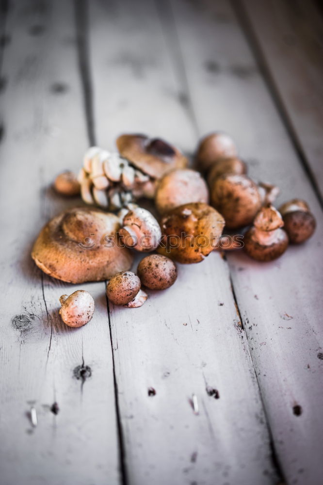 Similar – Image, Stock Photo Sweet potato chips 2.0