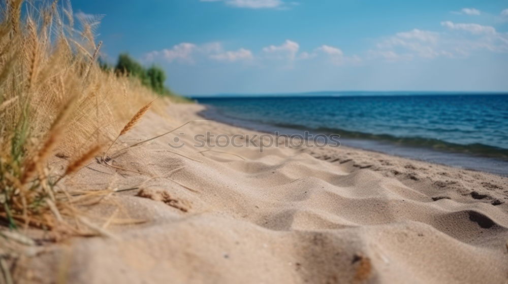 Similar – Baltic Sea in Sweden